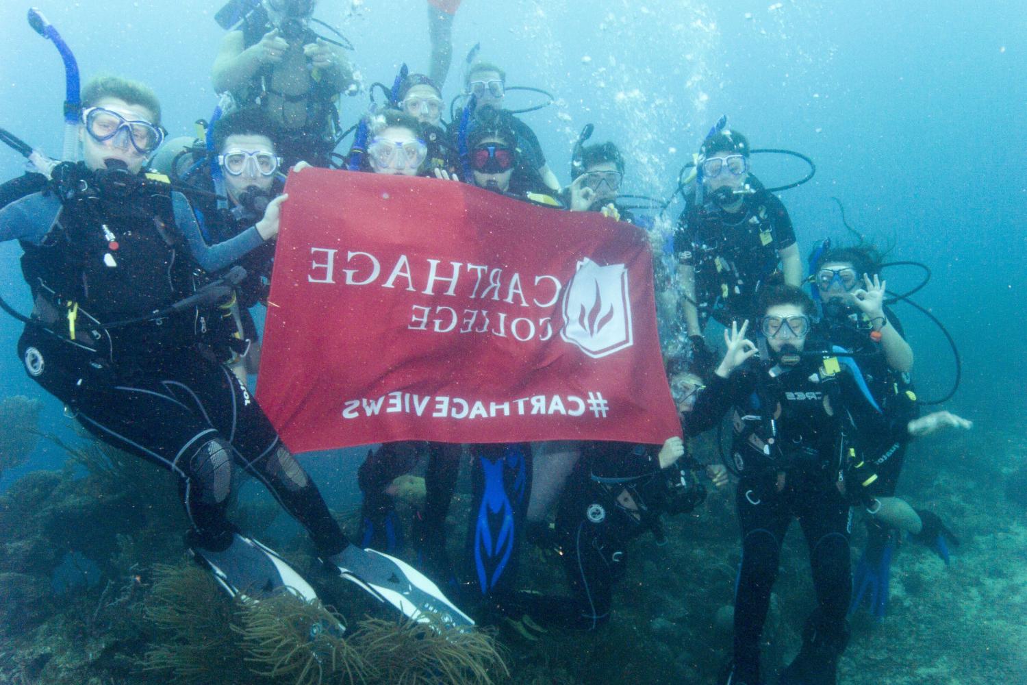 学生们手持<a href='http://tcp.ngskmc-eis.net'>博彩网址大全</a>旗帜，在j学期洪都拉斯游学之旅中潜水.